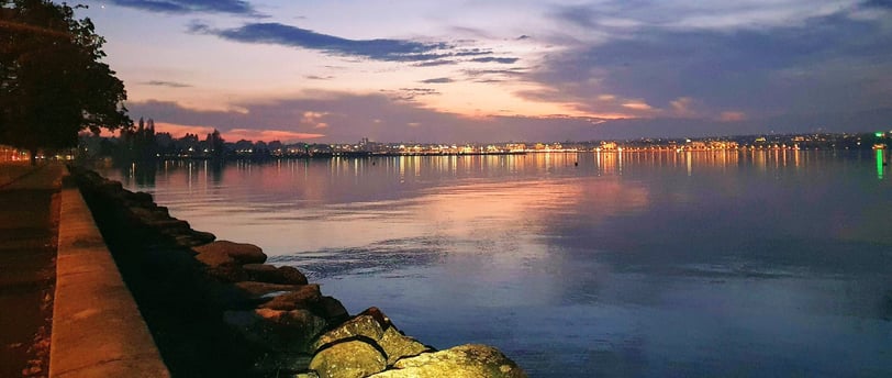 a view of a city skyline at night leman