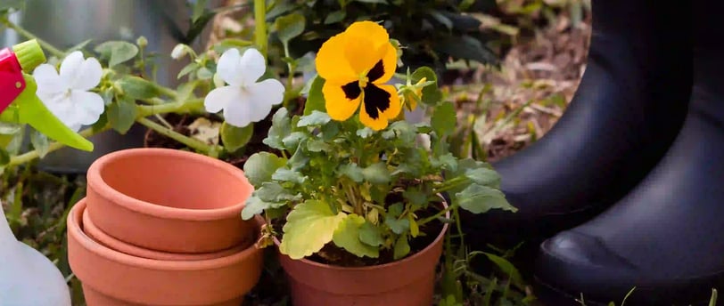 Gardening Tips for Beginners