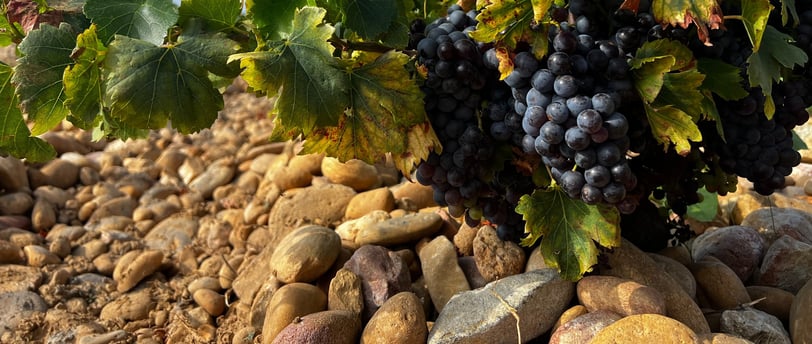 Rocky soil in southern rhone