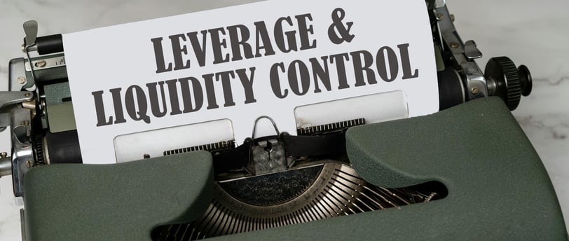 Leverage & Liquidity Control - PrimeInvestors.site