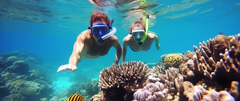 snorkeling in punta cana