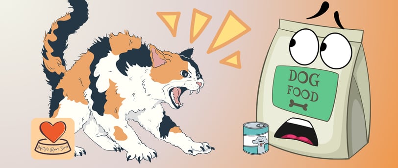 angry cat being fed dog food