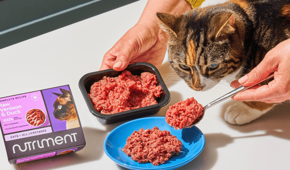 Cat eating nutriment venison & duck stocked at Kitty's Rawr Store