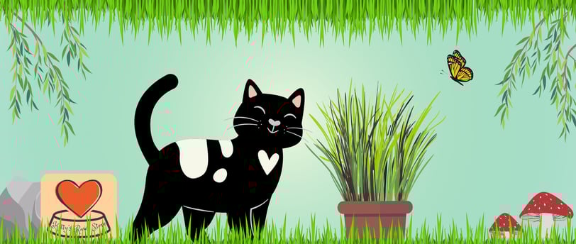 A HAPPY CAT WITH A POT OF CAT GRASS AT KITTY'S RAWR STORE