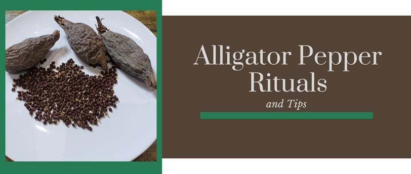 ultimate beginners guide to alligator pepper - how to use it, protection & manifestation rituals