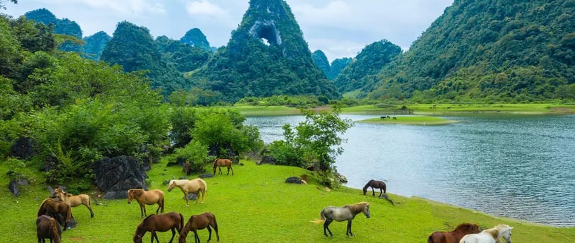 Nông trại sạch của Mế Farmstay Núi Thủng