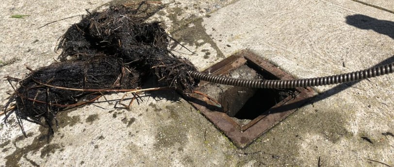 Unclog drain pipes in San Francisco.