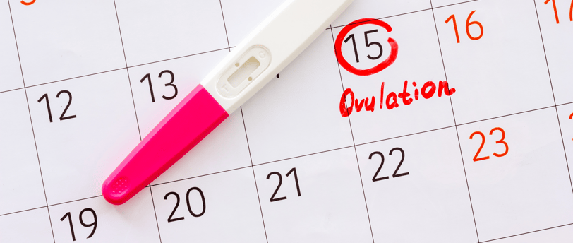 Ovulation test placed on calendar with cycle day marked in red