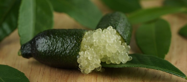 understanding beta-glucans