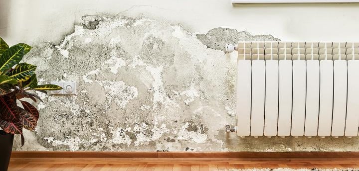 Interior wall with significant mold growth and water damage above a heater.