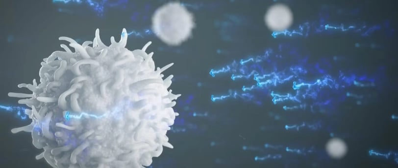 visual representation of Transfer Factors targeting immune cells