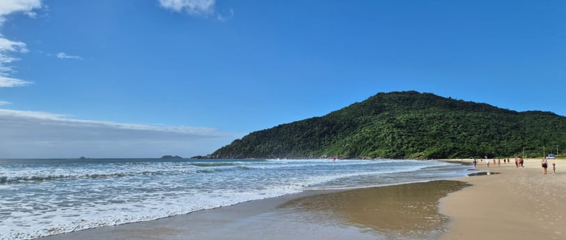 Praia com mar azul, ondas quebrando suavemente na areia e vegetação litorânea ao fundo