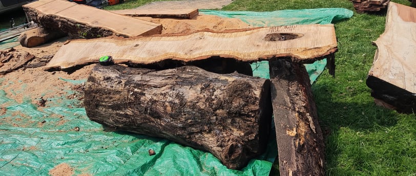 a large tree stump and freshly sawn slabs from a tree trunk