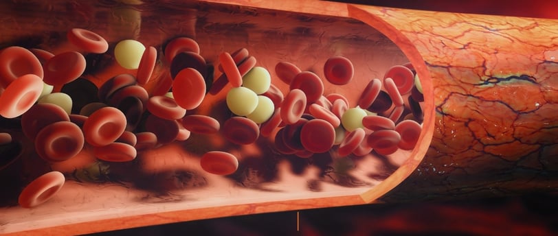 Blood Flow Boost
