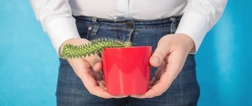 Addressing the Problem of Erectile Dysfunction