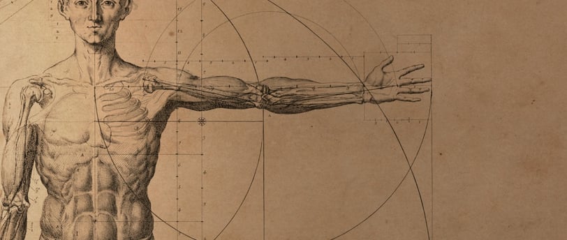 Exploring Male Sexual Anatomy