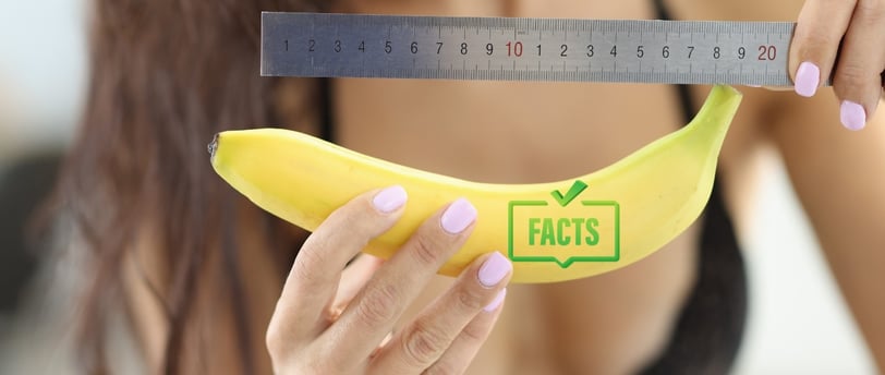 Facts About Penis Size