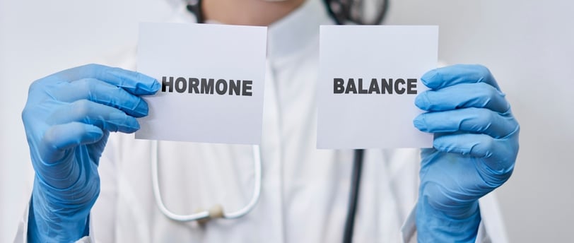 Men's Endocrine System