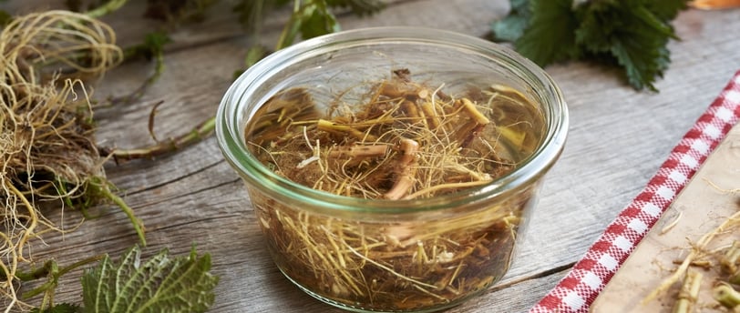 Nettle Root