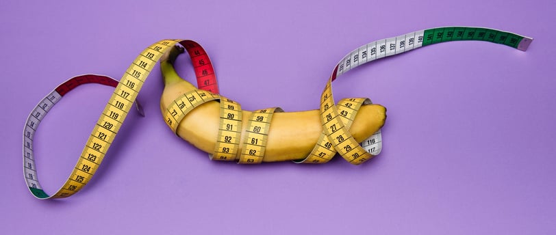 The Size of the Penis