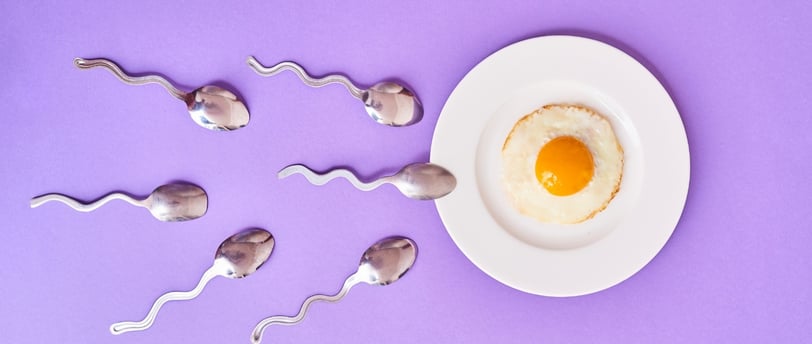 Understanding Male Fertility