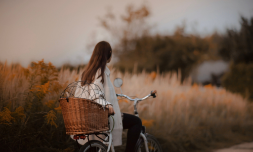 What Is The Difference Between An E-bike And A Regular Bicycle?