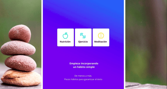 lifestyle app with nutrition, workout and meditation