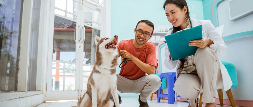 una veterinaria agachada al lado de un husky con su propietario