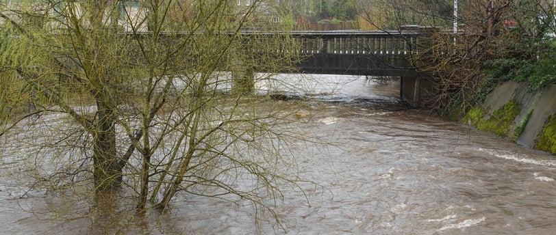 Water of Leith High Water 5 April 2024 (c) H Ross