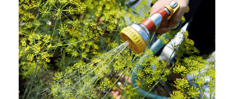 Choosing the Best Water tank Color for your Garden