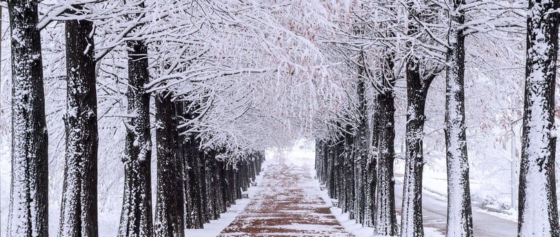 Delivering packages in the winter (Amazon)