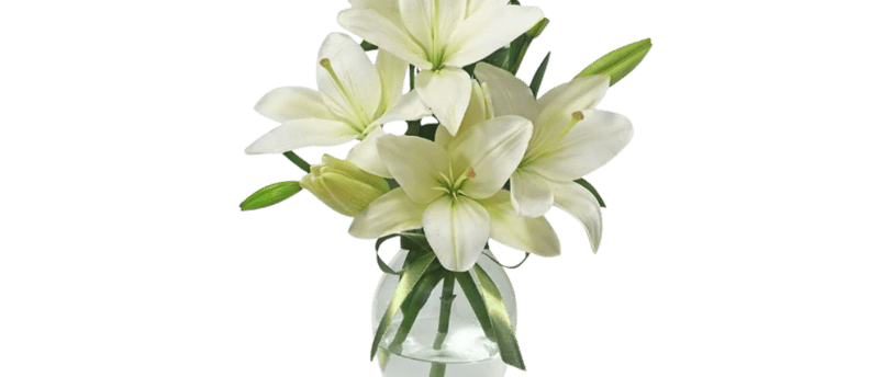 Guia da Simbologia das Flores: Significados Para Sua Homenagem Floral em São Paulo com a Consolare