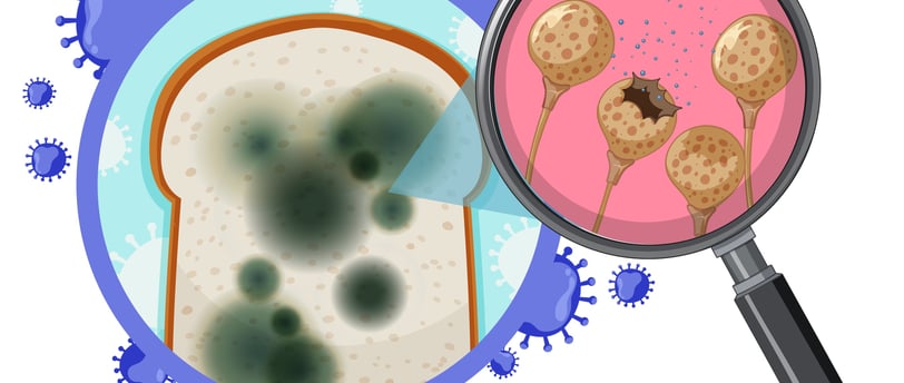 Home Remedies for Yeast Infection