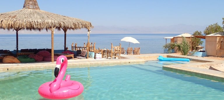 un fenicottero rosa che galleggia in una piscina sulla spiaggia 
