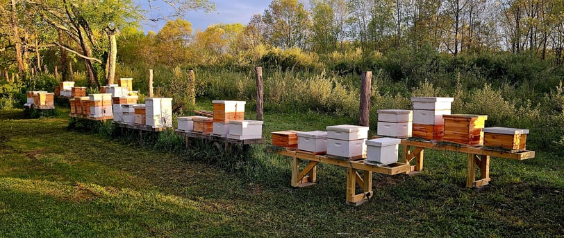 Oak Point Farm Apiary