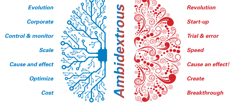 a brain map of a brain explaining left brain functions and right brain functions