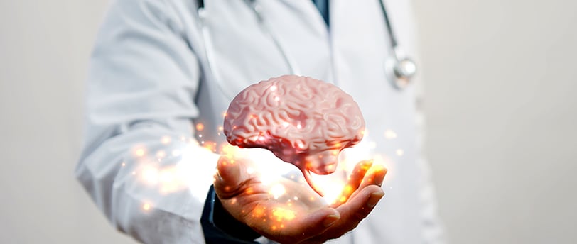 Como o Açúcar Afeta o Cérebro?
