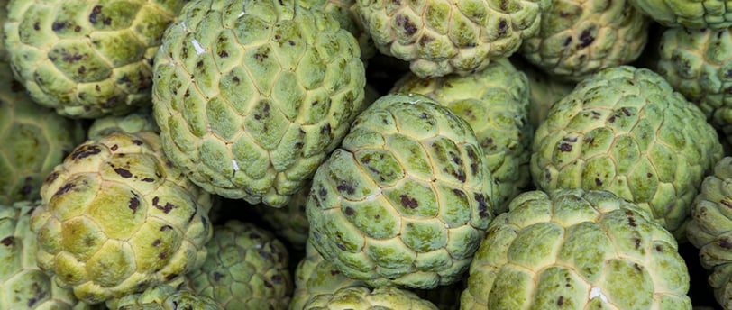 Fruta do conde baixa a pressão e no sangue naturalmente