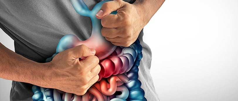 Fibra para o intestino
