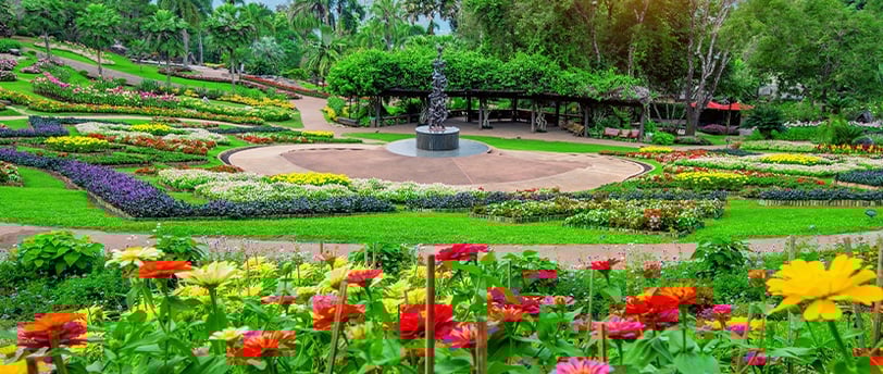 Jardim colorido