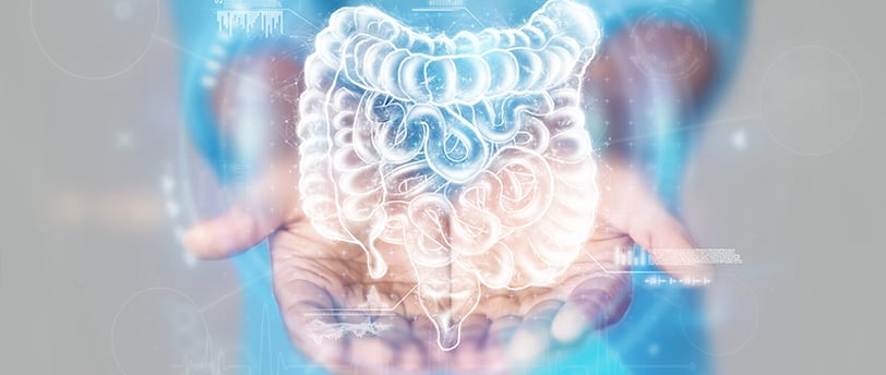 mudanças na flora intestinal