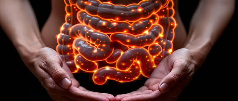Intestino com câncer 
