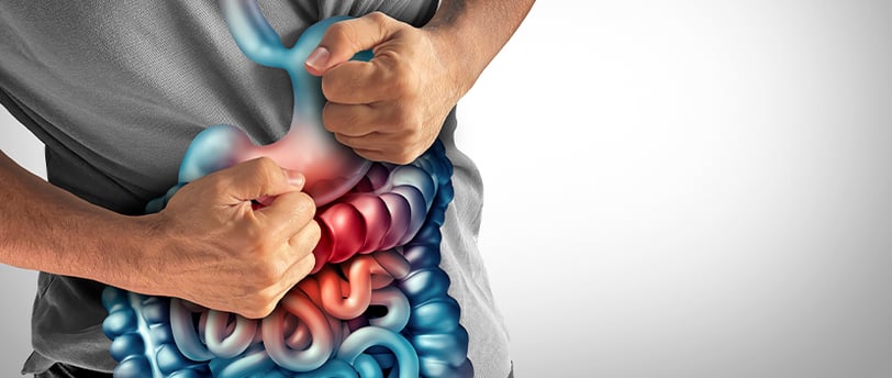 Intestino preso