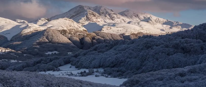 montagne, neige, forêt