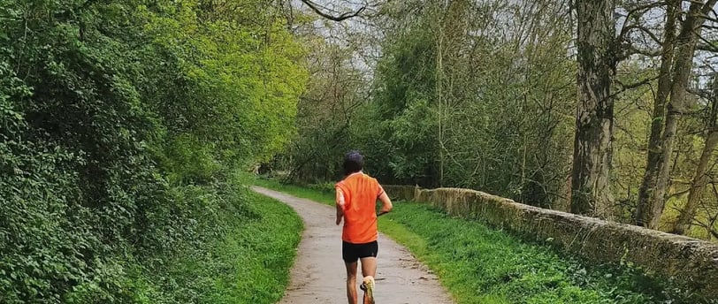 coureur, de dos, sentier, forêt, arbres, muret