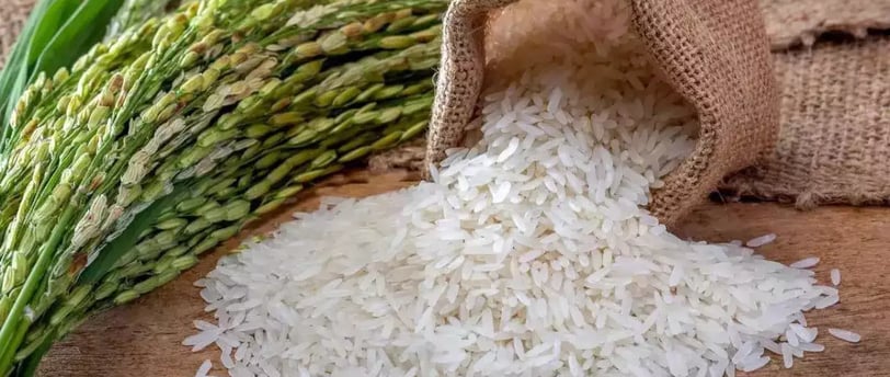 India’s Record Rice Surplus: Boon for Exports, But Storage and Wheat Challenges Loom Synopsis