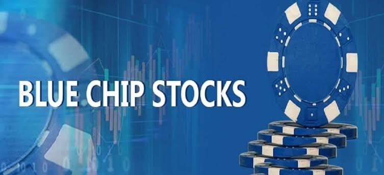 Top 5 Undervalued Bluechip Stocks to Invest in After oath-taking ceremony on June 8