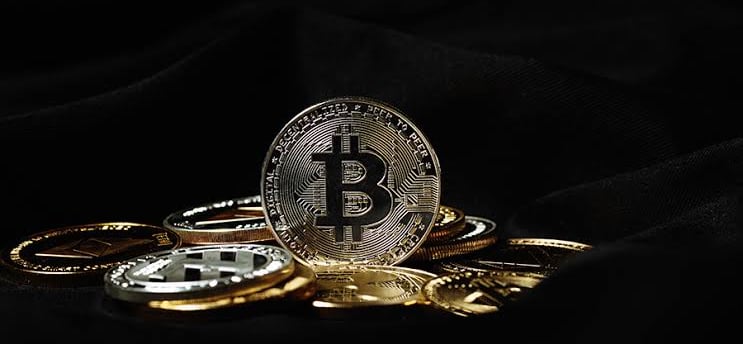 Bitcoin's Price Dip Amid Continued Capital Inflows: Navigating Market Dynamics
