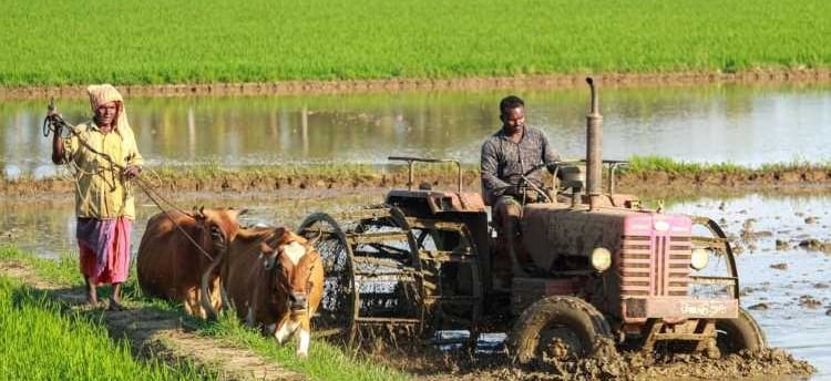 India’s Agriculture Landscape: Northeast Monsoon Ends, Rabi Crops Progress, and Key Trends to Watch