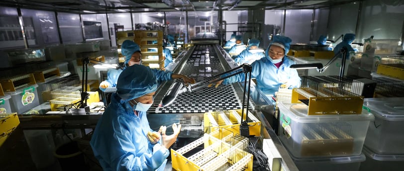 China’s Manufacturing Contraction: The Economic Roadblock Behind the Numbers